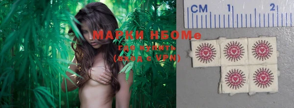 индика Медногорск