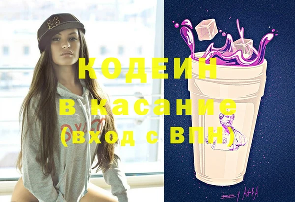 индика Медногорск