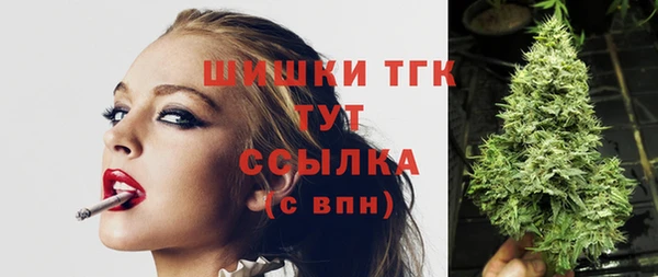 крисы Медвежьегорск