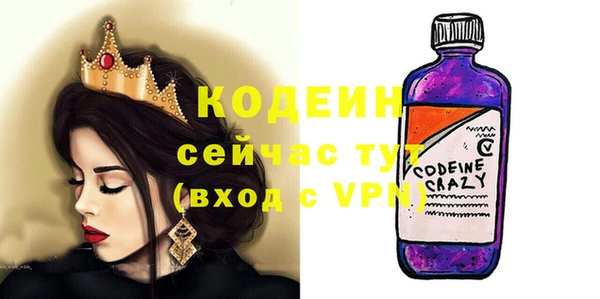 хмурый Михайловск