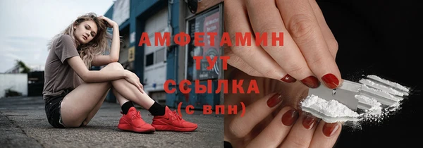 индика Медногорск