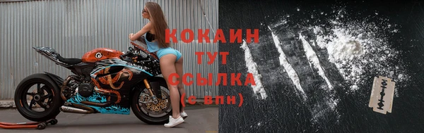 хмурый Михайловск