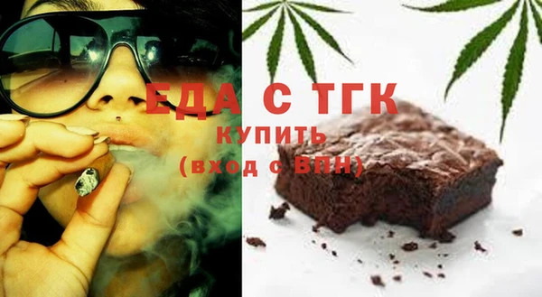 индика Медногорск