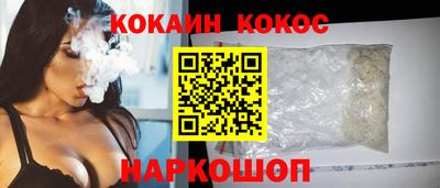 бошки Кингисепп
