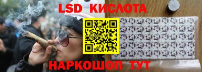 бошки Кингисепп