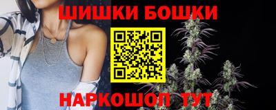 индика Бийск