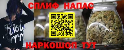 бошки Кингисепп