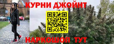 индика Бийск